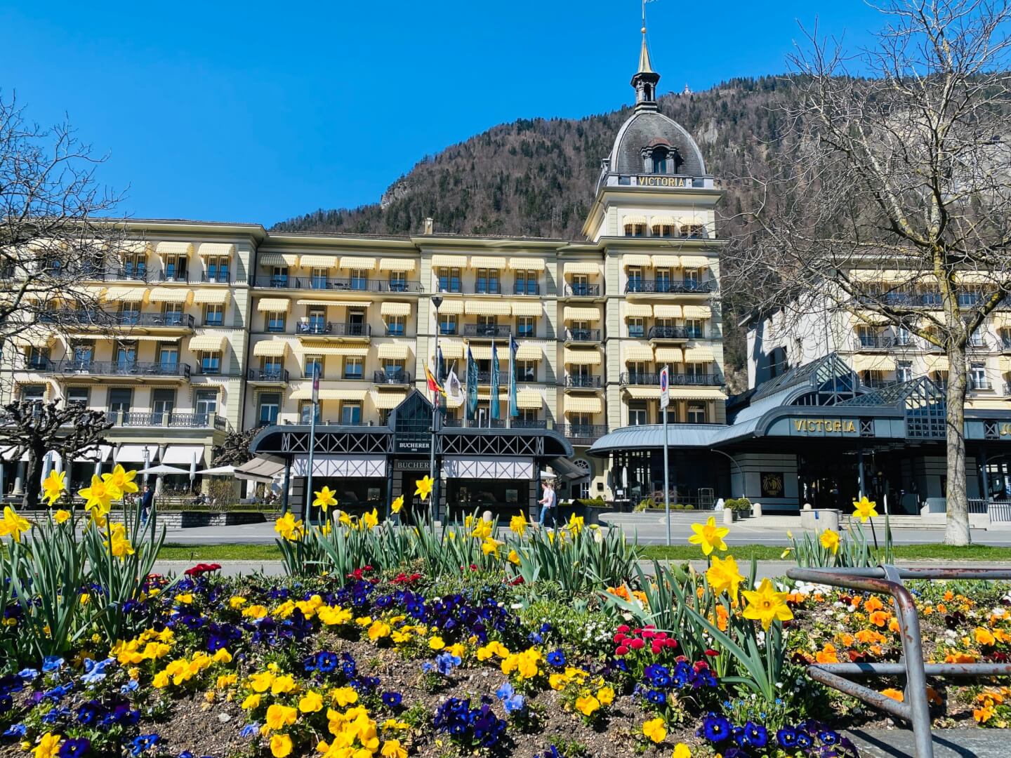 Victoria Jungfrau Grand Hotel & Spa, Interlaken: Where Luxury Meets Adventure